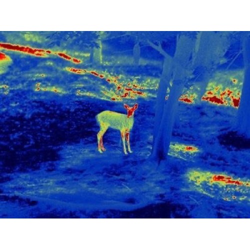 Прицел тепловизионный GUIDE TS450 в Оренбурге
